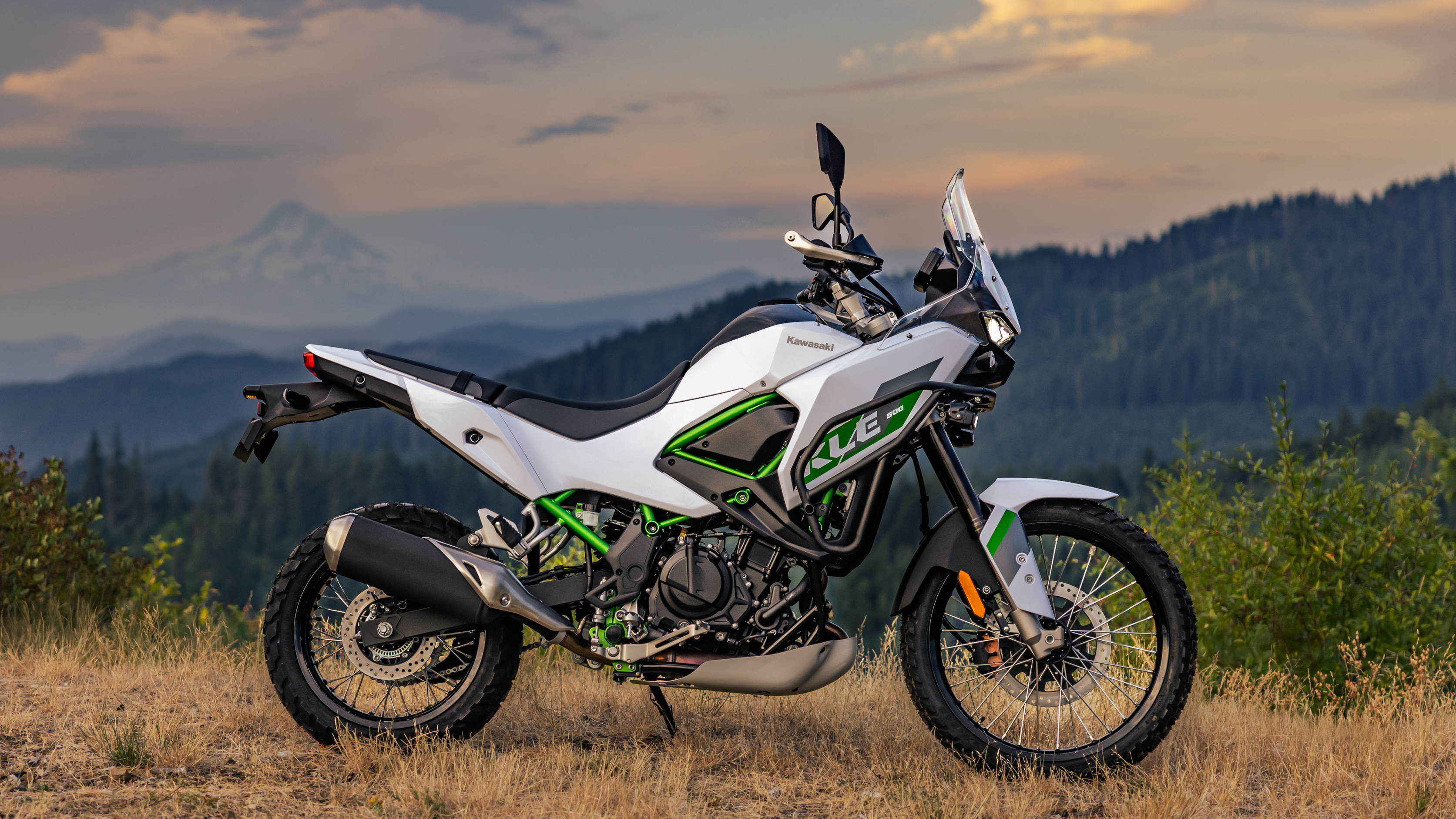 2026 Kawasaki KLE®500 ABS | Adventure Motorcycle | Rally-Inspired